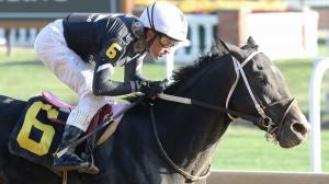 MyRacehorse Chasing Time